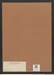 Diatomeae indet. (de-Toni-Nr.: Species 3036 var. ?) Zeichnungen Sammlung Grunow Mappe 03252 (Herbarium_W_Grunow_drawings_Folder_03252)